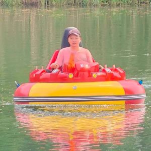 Adult Bumper Boat