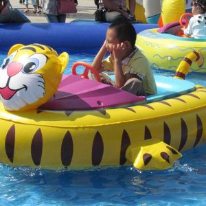 Motorized Bumper Boat