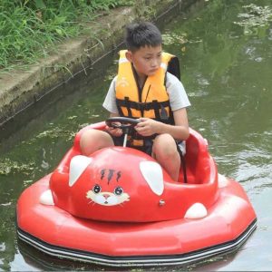 Mini Bumper Boat